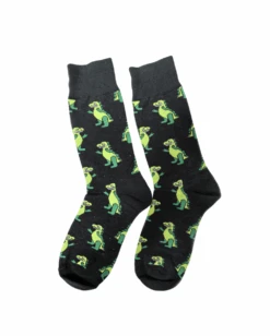 Dino Nation Socks