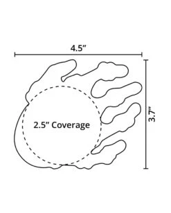Pastease Glow In The Dark Skeleton Hands Pasties -iHeartRaves Shop PasteaseGlowInTheDarkSkeletonHandsPasties